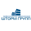 Логотип компании «ШТОРМ ГРУПП»