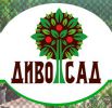 Логотип компании «Диво Сад»