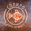 Логотип компании «Солило»