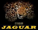 Логотип компании «Ягуар»