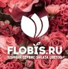 Логотип компании «Flobis»